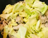 豚こまぎれ肉とキャベツの野菜炒め作り方2写真