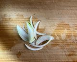 秋のレモン風味の秋刀魚パスタ作り方7写真