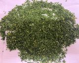 手作り！ドライパセリ　乾燥パセリ　作り方8写真