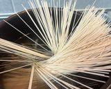 きのこたっぷり★ピリ辛冷やし坦々そうめん作り方1写真