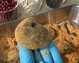 【本格】本わらび粉で本わらびまんじゅう作り方13写真