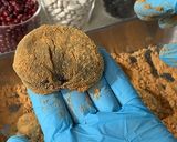 【本格】本わらび粉で本わらびまんじゅう作り方12写真