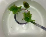ふきのとう味噌(居酒屋お通しver.)作り方2写真