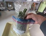 パラパラになるニラの冷凍術作り方4写真