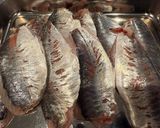釣って来た鯵で韓国風丼作り方3写真