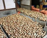 簡単　新玉ねぎとシーチキン和え作り方2写真