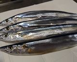 さんまのトマト煮込み作り方1写真