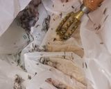 イサキ　のうま飯　マヨ炙り　寿司　作り方1写真