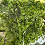 簡単！こごみの胡麻和え作り方1写真