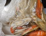 牛肉大和煮缶DE肉豆腐風作り方8写真