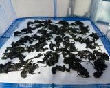 ゆかり作り方2写真
