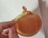 玉ねぎをほんのちょっと早く剥く方法！作り方2写真
