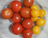 採れたて夏野菜のカレー作り方1写真