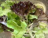 夏みかんとキウイのニース風サラダ作り方1写真