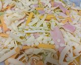 ライスペーパーでとんぺい焼き風作り方3写真
