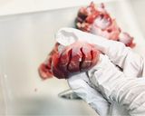 砂肝のねぎ塩炒め(おつまみにも✨)作り方2写真