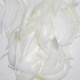 たけのこのと新玉ねぎのガリバタ醤油炒め作り方3写真