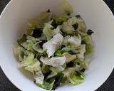 キャベツ大量消費！キャベツの甘酢中華和え作り方4写真