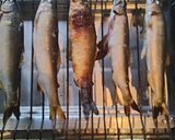 鮎ごはん作り方7写真