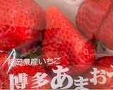 子が発見！どらきんぐ風作り方1写真