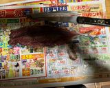 秋のレモン風味の秋刀魚パスタ作り方2写真