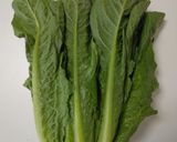チキンシーザーサラダ作り方11写真