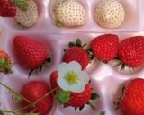 Belle mousse aux fraises et aux fleurs作り方3写真