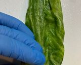 レタスの肉巻き（梅しそポン酢）作り方6写真