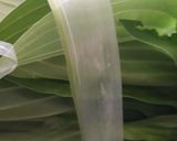 うるいの甘酢漬け(山菜)作り方1写真