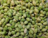 発芽ひよこ豆のカレー　乾燥豆で発芽します作り方2写真