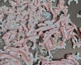 挽き肉のカボチャクリームパスタ*グラタン作り方2写真