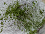 滅茶苦茶美味、ミコばあば米粉抹茶クッキー