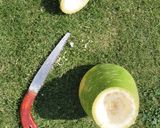 夕顔のワイン煮作り方1写真