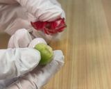 まるでカリカリ梅！ローゼルの塩漬け作り方2写真