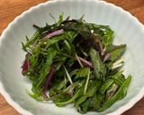 カラフル水菜×塩昆布 一夜漬け作り方4写真
