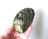 アワビのバター醤油作り方2写真