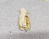 椒盐千层饼・中華家庭料理作り方4写真
