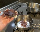 イロハモミジの冷凍＆乾燥の茶葉で飲み比べ作り方5写真