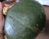 つるなしかぼちゃやっこ！！ついに食べるよ！煮作り方1写真