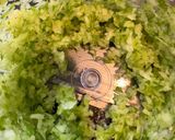 子供・幼児向け♪やさしい甘口麻婆豆腐作り方1写真