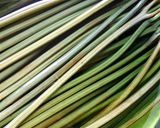わらびの生姜醤油漬け(かつお節入り)作り方1写真