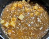 麻婆豆腐丼作り方8写真