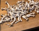 鶏肉としめじの中華和え作り方3写真