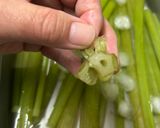 ふきの下ごしらえ(保存版)作り方5写真