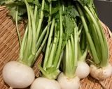 柔らかい！小かぶの塩漬け作り方1写真