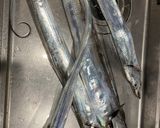 多めに釣れたらつくるタチウオの乾き物作り方1写真