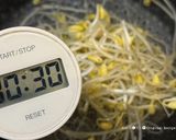 沢山食べれる★小松菜と豆もやしの塩ナムル作り方16写真