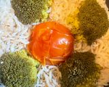 離乳食後期★しらすトマトごはん(軟飯)作り方4写真