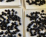 フードドライヤーで　黒豆の甘納豆作り方4写真