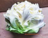 ♻️野菜プレップ総合案内🗺️葉茎|根菜|果菜作り方1写真